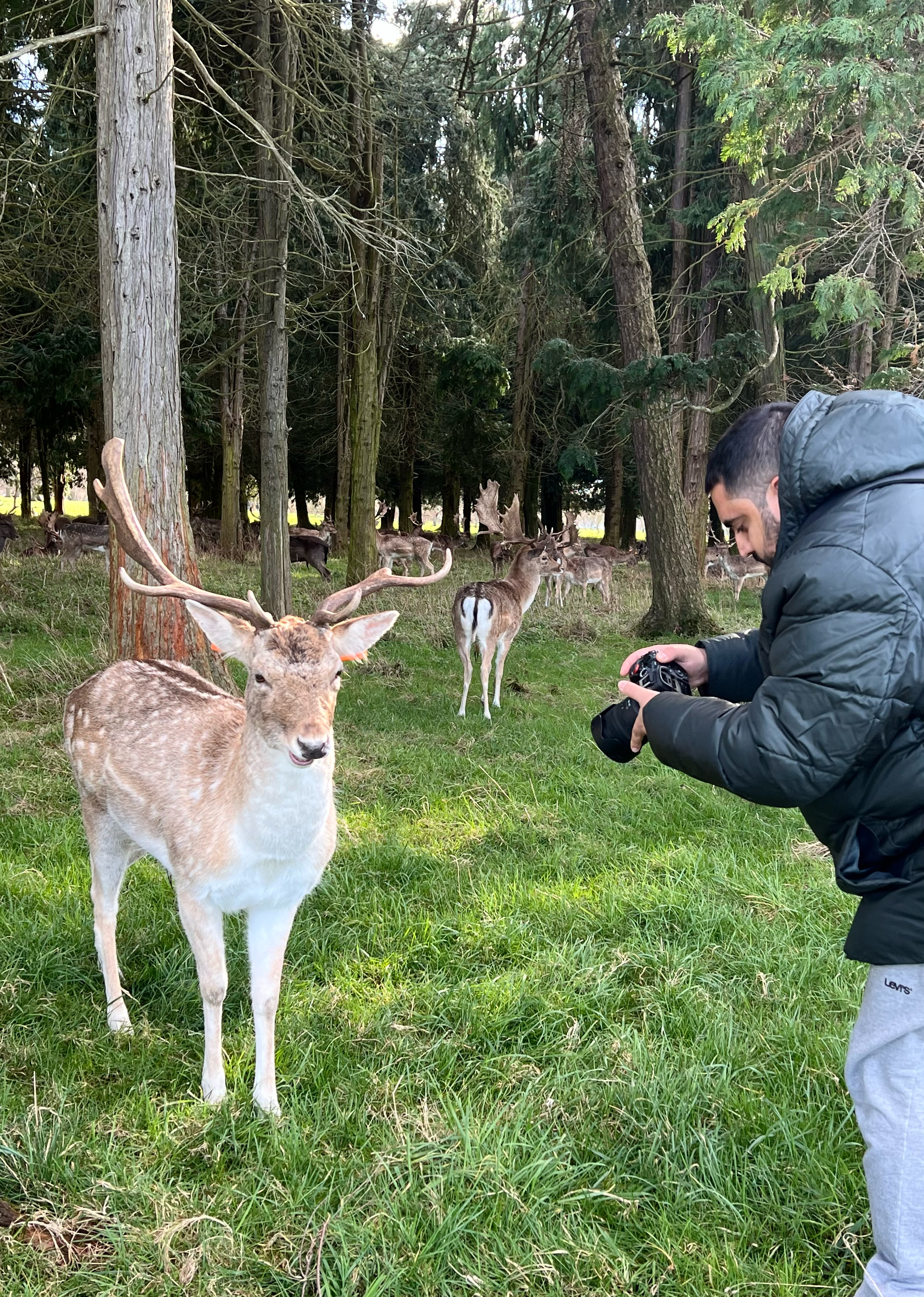 Capturing Abu Dhabi’s Spirit in Photographs